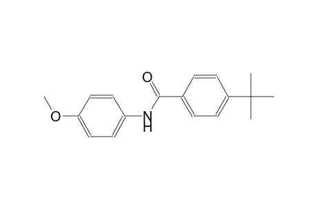 4-tert-butyl-N-(4-methoxyphenyl)benzamide