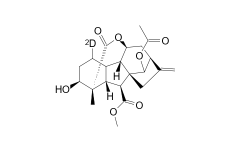 [1.xi.-(2)H]GA(1) methyl ester 13-acetate