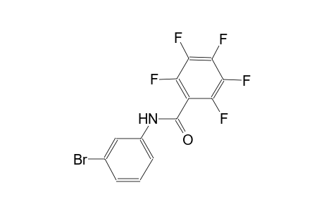 N-(3-bromophenyl)-2,3,4,5,6-pentafluorobenzamide