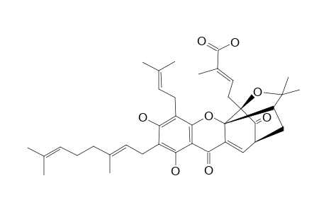 Isogambogenic acid