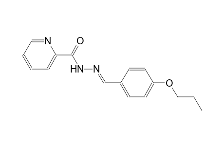 N'-[(E)-(4-propoxyphenyl)methylidene]-2-pyridinecarbohydrazide