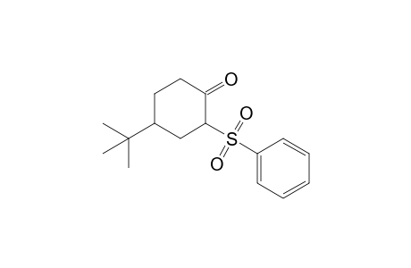 2-Phenylsulfonyl-4-tert-butylcyclohexanone