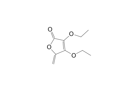 3,4-Diethoxy-5-methylene-2-furanone
