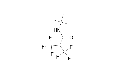 N-(tert-Butyl)-3,3,3-trifluoro-2-(trifluoromethyl)propanamide