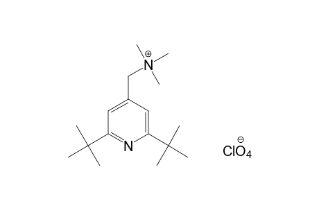 [(2,6-di-tert-butyl-4-pyridyl)methyl]trimethylammonium perchlorate