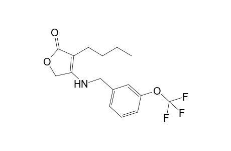 4-butyl-3-[[3-(trifluoromethoxy)benzyl]amino]-2H-furan-5-one