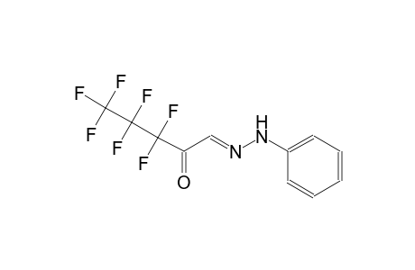 pentanal, 3,3,4,4,5,5,5-heptafluoro-2-oxo-, phenylhydrazone, (1E)-