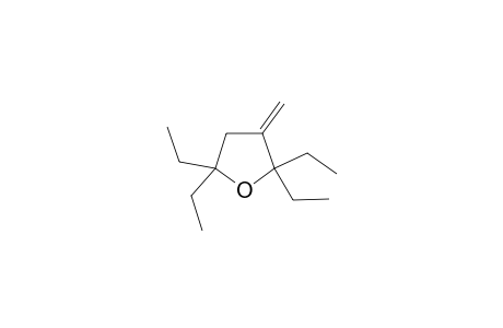 2,2,5,5-Tetramethyl-3-methylenetetrahydrofuran