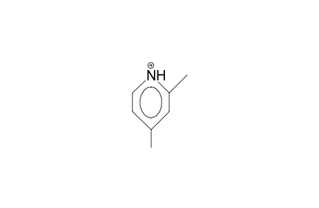 2,4-Dimethyl-pyridinium cation