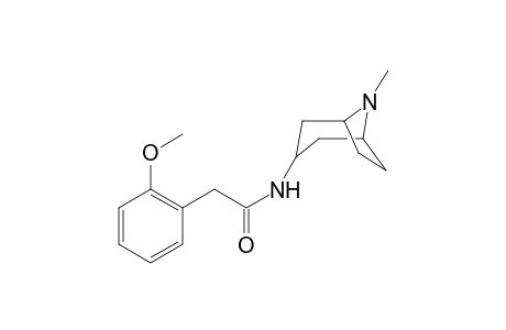 2-(2-Methoxyphenyl)-N-(8-methyl-8-azabicyclo[3.2.1]oct-3-yl)acetamide