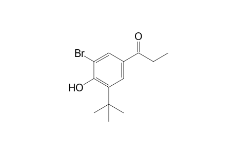 3'-bromo-5'-tert-butyl-4'-hydroxypropiophenone