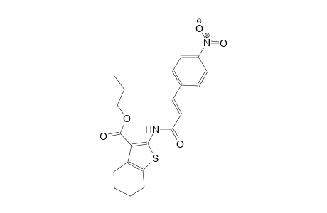 propyl 2-{[(2E)-3-(4-nitrophenyl)-2-propenoyl]amino}-4,5,6,7-tetrahydro-1-benzothiophene-3-carboxylate