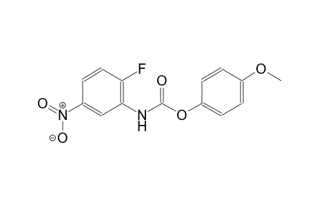 4-methoxyphenyl 2-fluoro-5-nitrophenylcarbamate