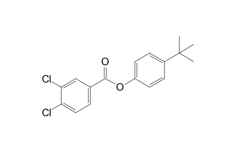 3,4-dichlorobenzoic acid, p-tert-butylphenyl ester