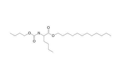 L-Norleucine, N-butoxycarbonyl-, dodecyl ester