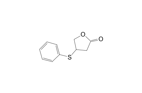 2(3H)-Furanone, dihydro-4-(phenylthio)-