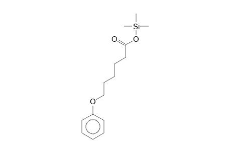 Hexanoic acid, 6-phenoxy-, trimethylsilyl ester