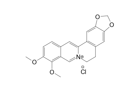 Berberine chloride
