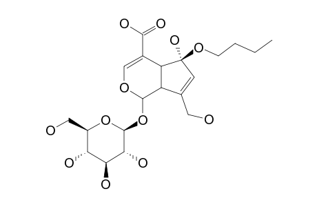 RHODOLATOUSIDE-B;1-O-BETA-D-GLUCOPYRANOSYL-1,4A,5,7A-TETRAHYDRO-5-BETA-BUTOXY-7-HYDROXYMETHYL-CYClOPENTA-[C]-PYRAN-4-CARBOXYLIC-ACID