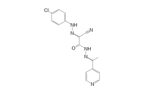 N'-(4-Chlorophenyl)-2-oxo-2-(2-(1-(pyridin-4-yl)ethylidene)hydrazinyl)acetohydrazonoyl cyanide