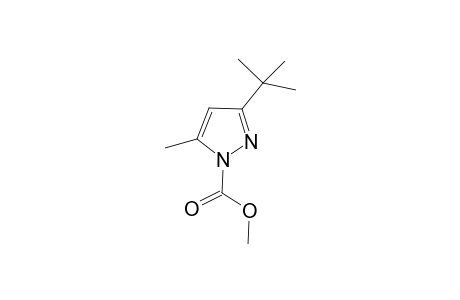 Methyl 3-t-butyl-5-methylpyrazole-1-carboxylate