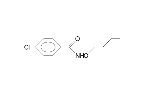 P-Chloro-benzohydroxamic acid, butyl ester