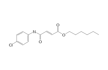 Fumaric acid, monoamide, N-(4-chlorophenyl)-, hexyl ester