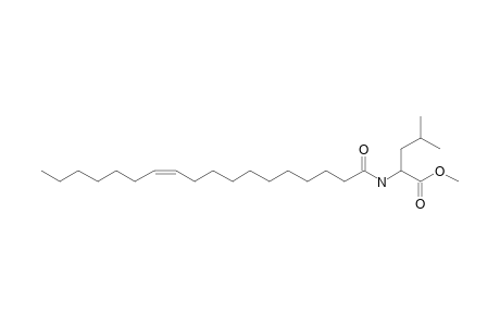 Methyl (Z)-octadec-11-enoyl-L-leucinate