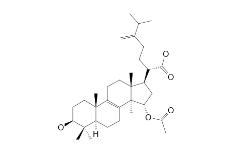 VERSISPONIC-ACID-D;15-ALPHA-ACETOXY-3-BETA-HYDROXY-24-METHYLENE-LANOST-8-EN-21-OIC-ACID