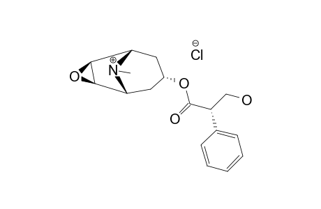 2-phenylhydracrylic acid, 6 beta, 7 beta-epoxy-1alpha H, 5 alpha H-tropan-3 alpha-yl ester, hydrochloride
