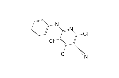 5-CYANO-2-PHENYLAMINOTRICHLOROPYRIDINE
