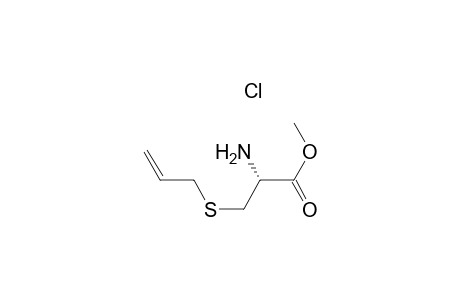 s-(2-propenyl)-l-cysteine methyl ester hydrochloride