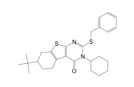 2-(benzylsulfanyl)-7-tert-butyl-3-cyclohexyl-5,6,7,8-tetrahydro[1]benzothieno[2,3-d]pyrimidin-4(3H)-one