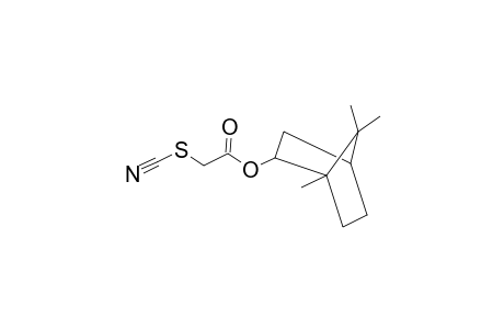 Acetic acid, thiocyanato-, 1,7,7-trimethylbicyclo[2.2.1]hept-2-yl ester, exo-
