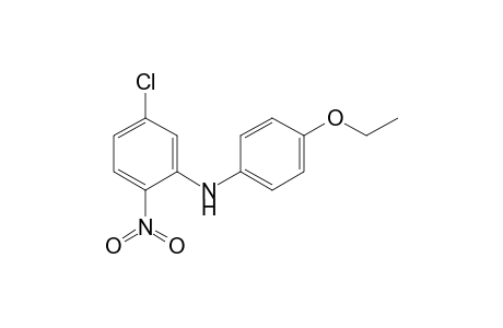 N-(4-Ethoxyphenyl)-5-chloro-2-nitroaniline
