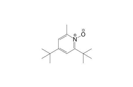 2,4-Di-tert-Butyl-6-methylpyridine-N-oxide