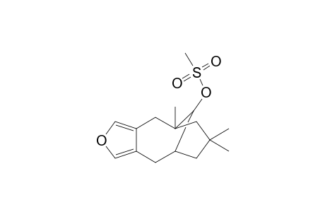 1,8,8-Trimethylfuro[3,4-c]bicyclo[4.3.1]dec-10-yl mesylate