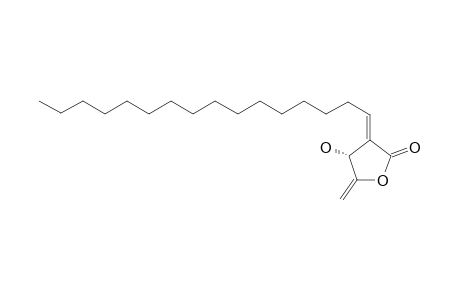 ISOLINDERANOLIDE-E;(3R,2E)-3-HYDROXY-4-METHYLENE-2-HEXADECYLIDENE-BUTANOLIDE