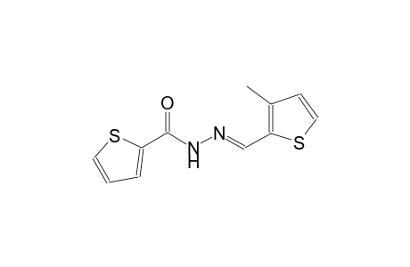N'-[(E)-(3-methyl-2-thienyl)methylidene]-2-thiophenecarbohydrazide