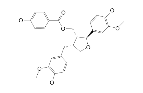 AGASTINOL;(8S,7'R,8'S)-4-HYDROXYBENZOIC-ACID-4-(HYDROXY-3-METHOXYBENZYL)-2-(4-HYDROXY-3-METHOXYPHENYL)-TETRAHYDROFURAN-3-YL-METHYLESTER