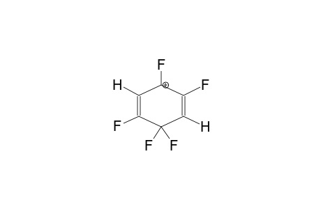 2,5-DIHYDRO-PENTAFLUOROBENZOLONIUM CATION