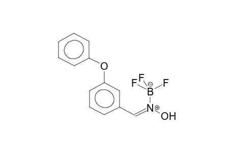 ANTI-3-PHENOXYBENZALOXIME, BOROFLUORIDE