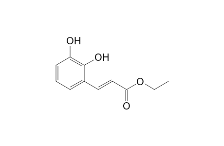 (E)-3-(2,3-dihydroxyphenyl)-2-propenoic acid ethyl ester