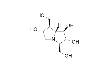 (1R,2R,3R,6R,7R,7aR)-3,7-Bis(hydroxymethyl)hexahydro-1H-pyrrolizine-1,2,6-triol