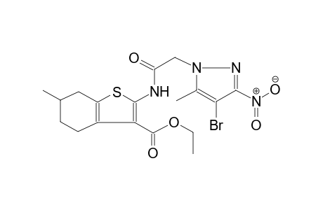 ethyl 2-{[(4-bromo-5-methyl-3-nitro-1H-pyrazol-1-yl)acetyl]amino}-6-methyl-4,5,6,7-tetrahydro-1-benzothiophene-3-carboxylate