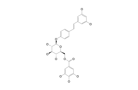 TRANS-3,5,4'-TRIHYDROXY-STILBENE-4'-O-BETA-D-(6-O-GALLOYL)-GLUCOPYRANOSIDE