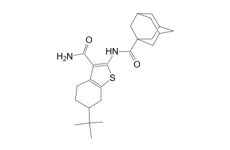 2-[(1-adamantylcarbonyl)amino]-6-tert-butyl-4,5,6,7-tetrahydro-1-benzothiophene-3-carboxamide