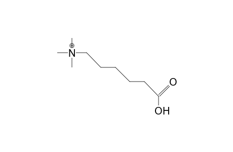 6-Amino-caproic acid, betaine cation