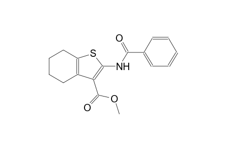 methyl 2-(benzoylamino)-4,5,6,7-tetrahydro-1-benzothiophene-3-carboxylate