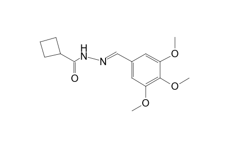 CYCLOBUTANECARBOXYLIC ACID, (3,4,5-TRIMETHOXYBENZYLIDENE)HYDRAZIDE